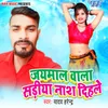 About Jaimaal Wala Sariya Naas Dihale Song